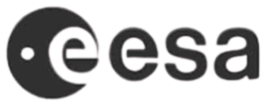 Partner 5